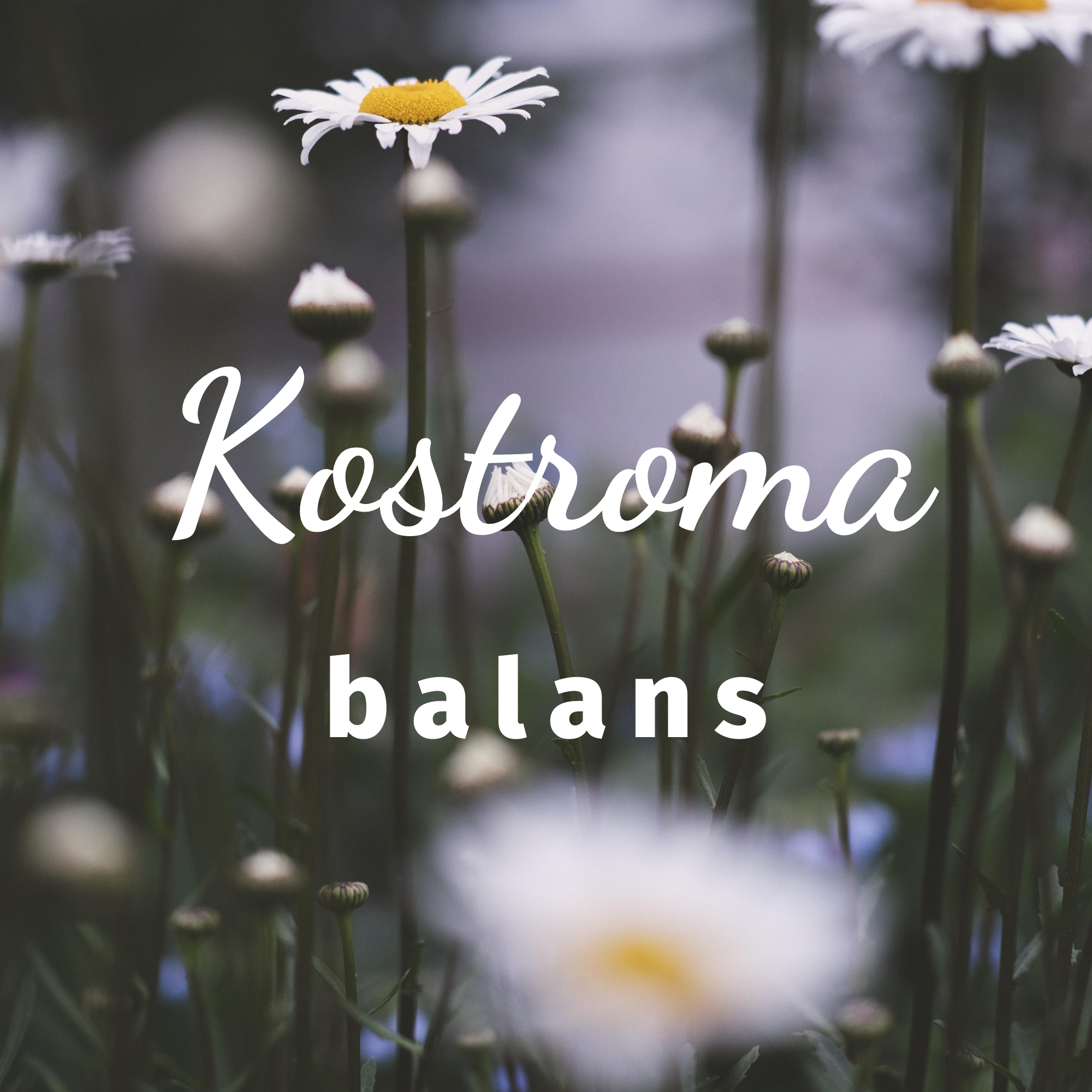 Kostroma balans